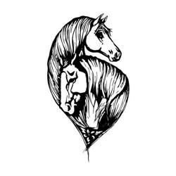 The Dream Ranch - Scuola Equitazione