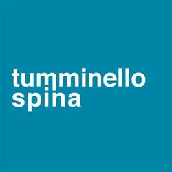 Agenzia di comunicazione Palermo - Tumminello Spina S.r.l.s