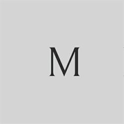 Mediasoul/Creative Digital Agency