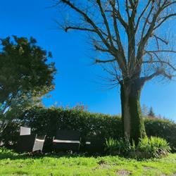 Il Tiglio B&B
