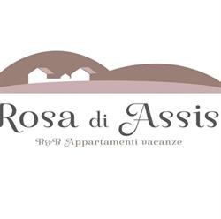Rosa di Assisi