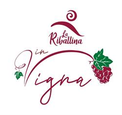 In vigna alla Riballina