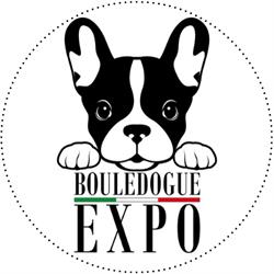Bouledogue EXPO Allevamento Professionale - Cuccioli Bulldog Francese Italiani con Pedigree