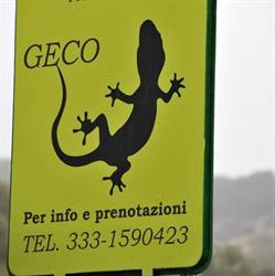 Bed & breakfast geco
