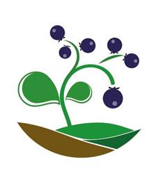Società Agricola Romanò Srl