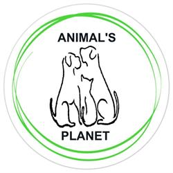 Animal's Planet