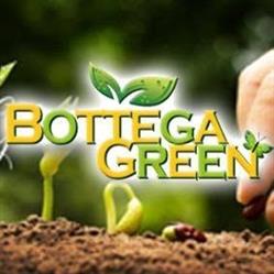 BOTTEGA GREEN