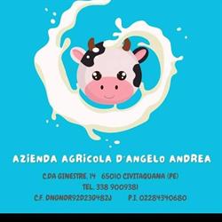 AZ. Agricola D'angelo Andrea