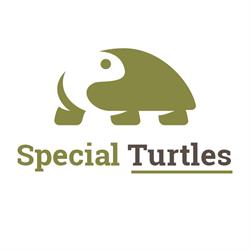 Special Turtles