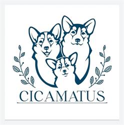 Cicamatus Welsh Corgi Pembroke