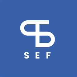 SEF Surgical European Facilitator Srl