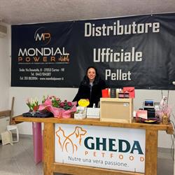 Mondial Power