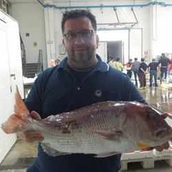 Pescheria De Cono