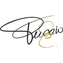 Enzo Puccio Wine Bar