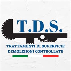 TDS di Anselmi Enea