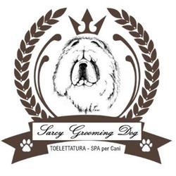 Sarcy Grooming Dog