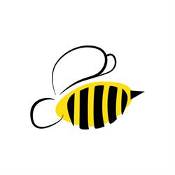 Bee (R)Evolution Formazione e Coaching