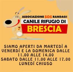 Canile Rifugio Di Brescia