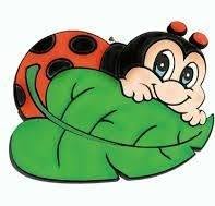 Comunità Alloggio per Minori La Coccinella