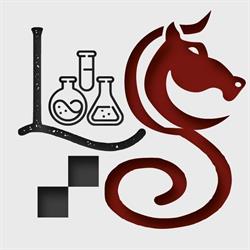 Laboratorio Scacchi