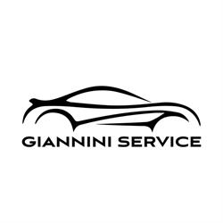 Giannini Service Autofficina e Revisione cambio automatico