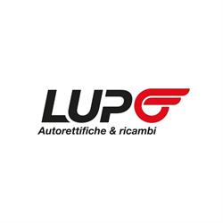 Autoricambi Lupo e Autorettifiche provincia di Lecce