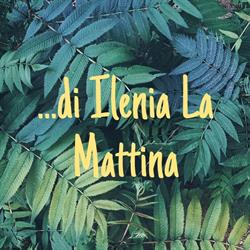 ohana di ilenia la mattina