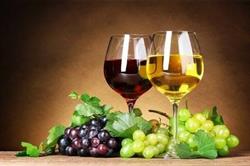 Azienda Agricola Piva Giuseppe di Cecchetto Anna Carla