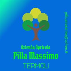 Azienda Agricola " Pilla Massimo "