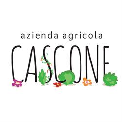 Azienda Agricola Cascone Annamaria