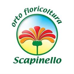 Ortofloricoltura Scapinello