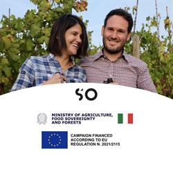 Azienda Agricola Stefano Occhetti