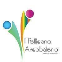 Pellicano arcobaleno