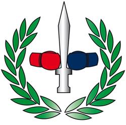 ASD Accademia Pugilistica