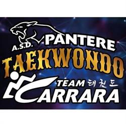 A.S.D. Pantere Taekwondo Team Carrara (sede centrale)