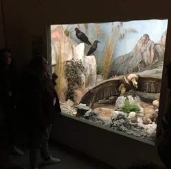 Museo di Scienze Naturali