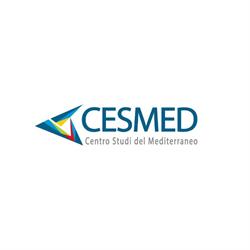Cesmed Palermo formazione