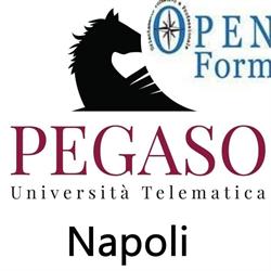 Open Form Pegaso Napoli