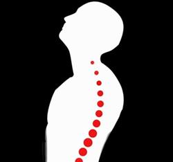 Rehactive - Centro di Fisioterapia, Massoterapia, Riabilitazione a Roma