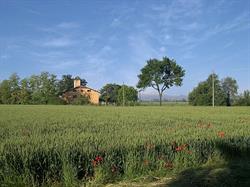 Casa della Carità di Cognento