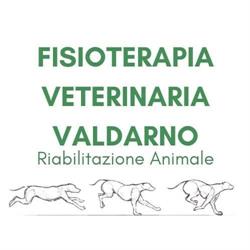 Fisioterapia Veterinaria Valdarno