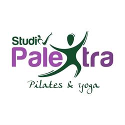 Studio Palextra
