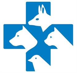 Ambulatorio Veterinario tirreno