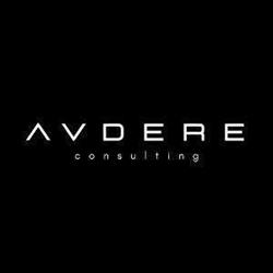 Audere Consulting