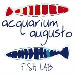 Acquarium Augusto Sushi Capri