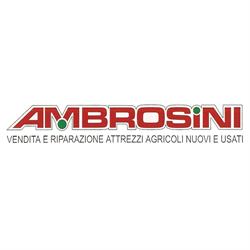 Ambrosini Macchine Agricole snc