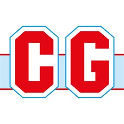 IDROTERMICA CG SAS