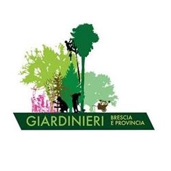 Green Land Verde Permanente Giardinieri Specializzati Nella Posa Erba Sintetica