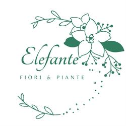 Elefante Fiori&Piante