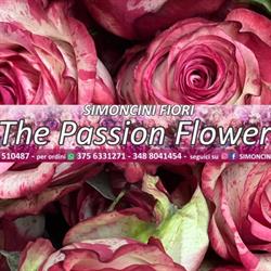 Simoncini Fiori The Passion Flower